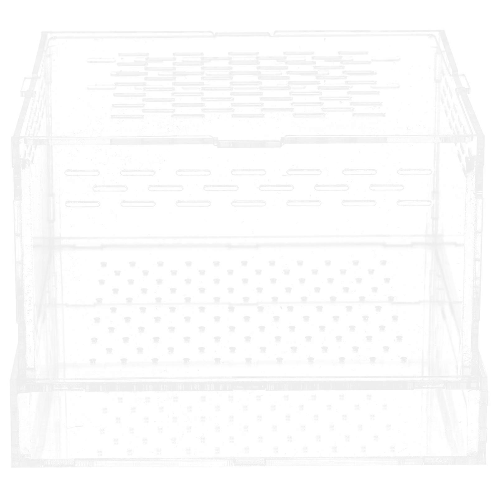 Square Feeding Case 2Pcs Hatching Container For 15X15CM Suitable For Pet Owners