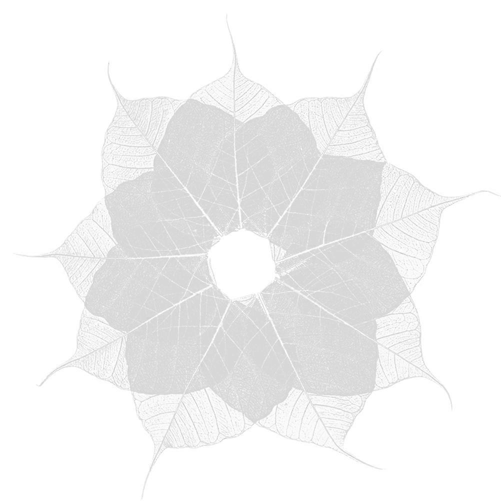 Natural Transparent Leaf Vein Bookmarks DIY Accessories 20Pcs