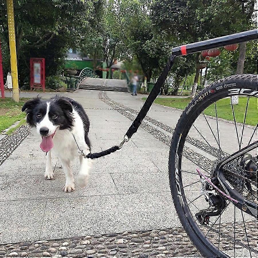 Bicycle Dog Holder Lead Flexible Arm 2025