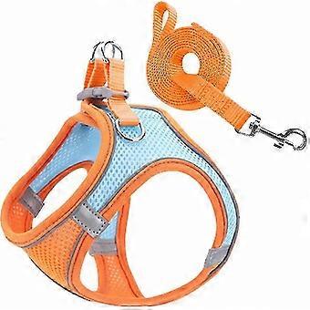 Adjustable No Pull Dog Harness with Leash Set, Soft Vest Design for Small Dogs and Cats, Comfortable Step-In Pet Harness