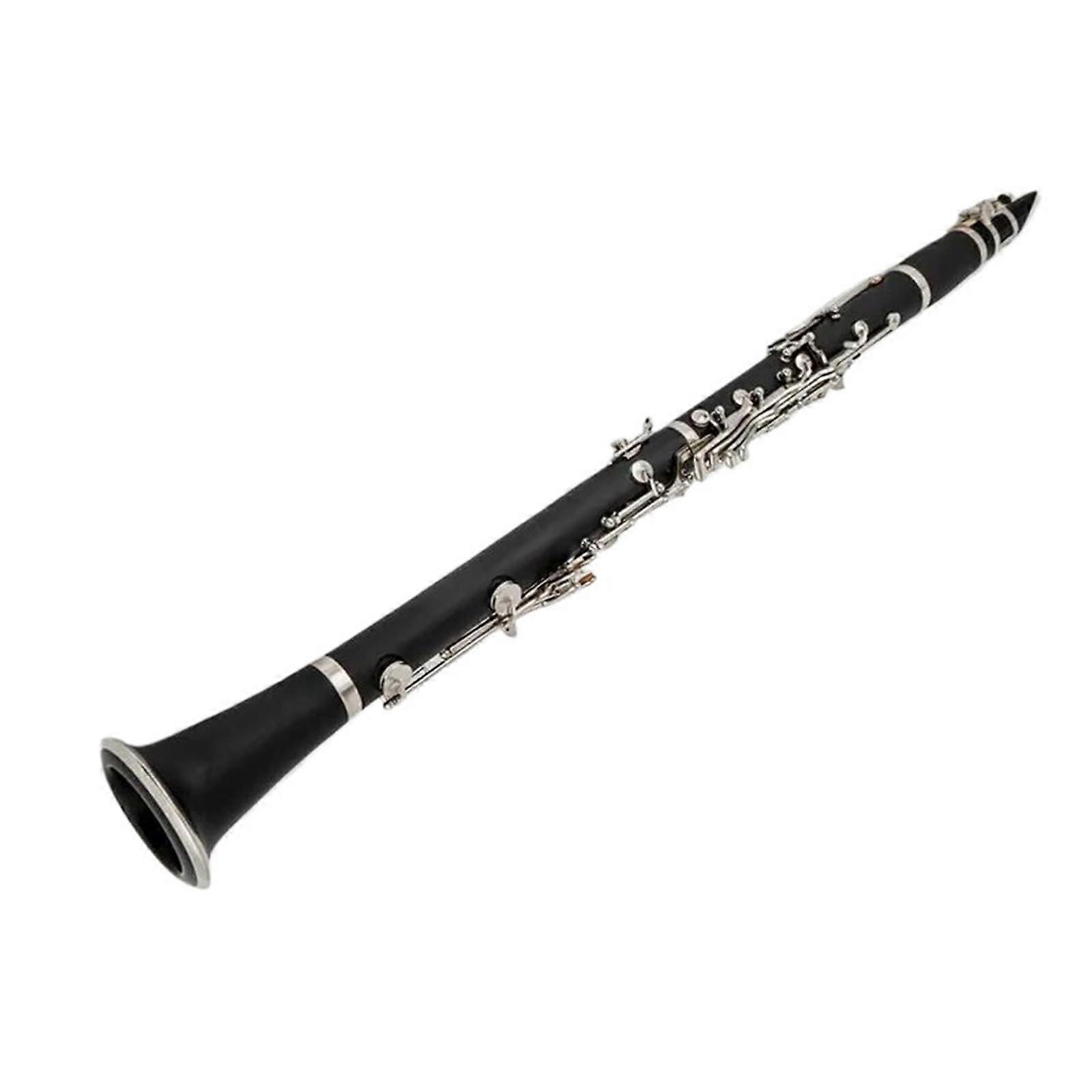Professional Bb Clarinet with Case, 17Key Bakelite, Rich Tone and Smooth Fingering