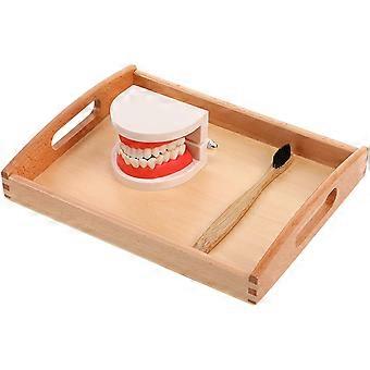Children Brushing Toy Educational Wooden Toy for Kids 1Set Brushing Kit