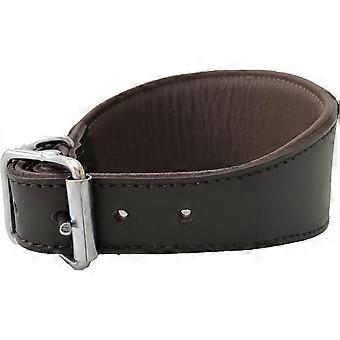 Hand Made Brown Leather Greyhound Collar Padded Lurcher Greyhound Dog Collar