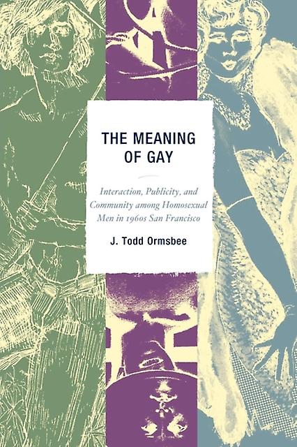 The Meaning Of Gay by Todd J. Ormsbee Paperback Book