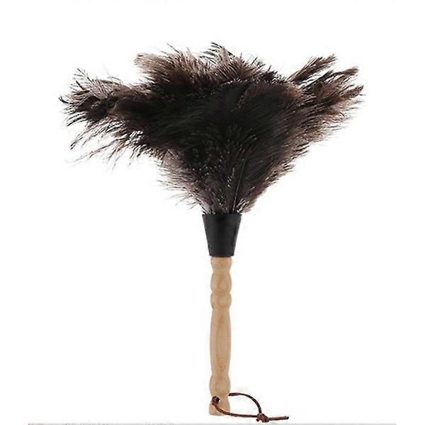 Anti-Static Dust Cleaning Tool Pans