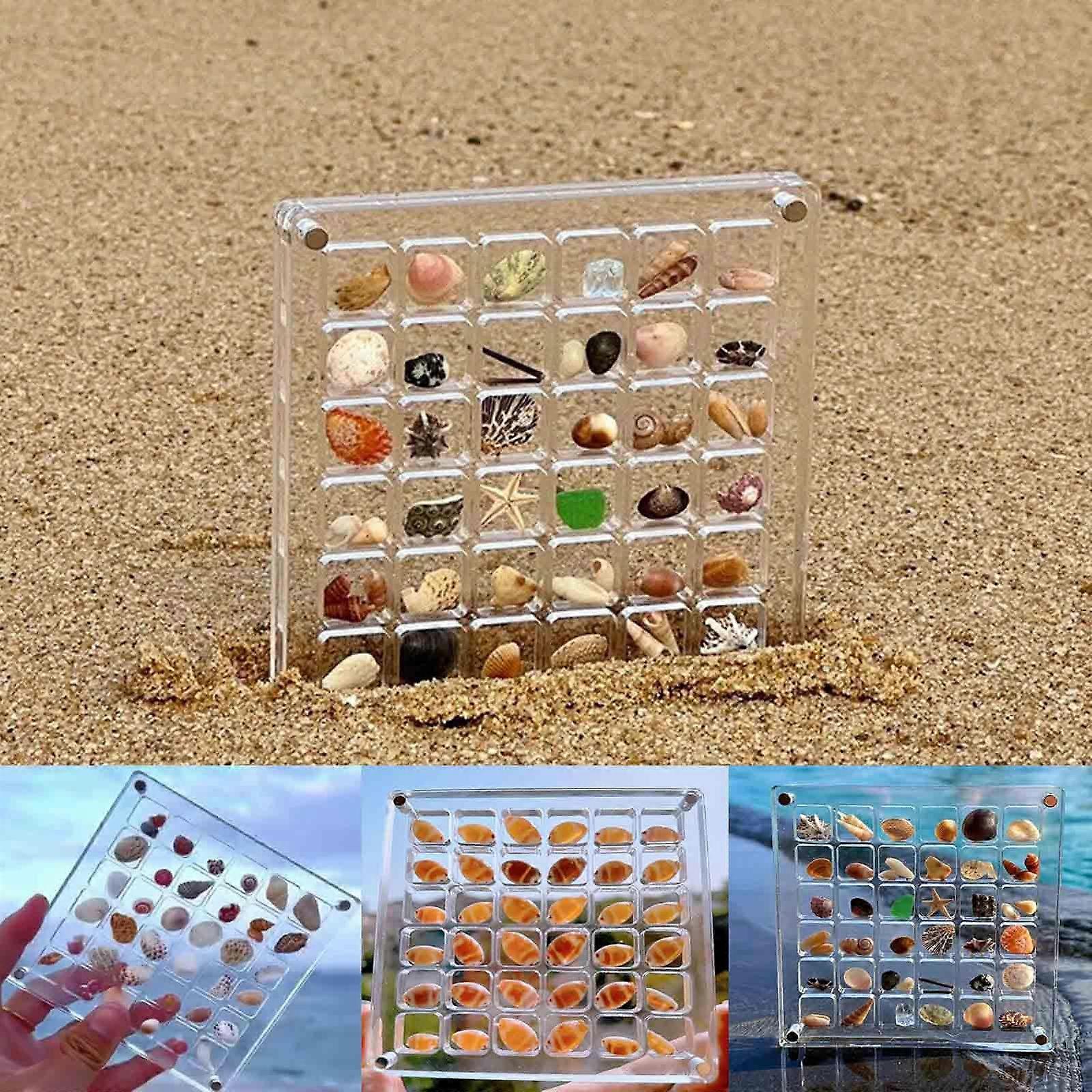 Acrylic Magnetic Seashell Display Box, 36/64/100 Grids Clear Acrylic Seashell Display Box