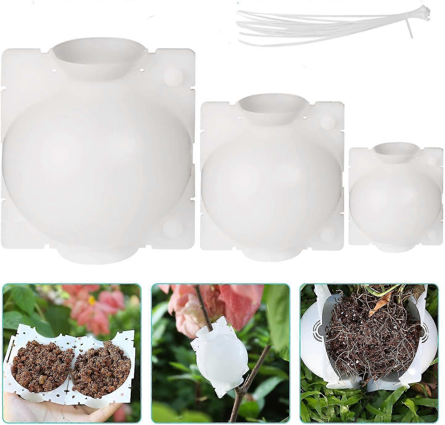 Luftskiktning Förökningsbollar Högtrycksväxtrotande bollrotsympning Växande ras