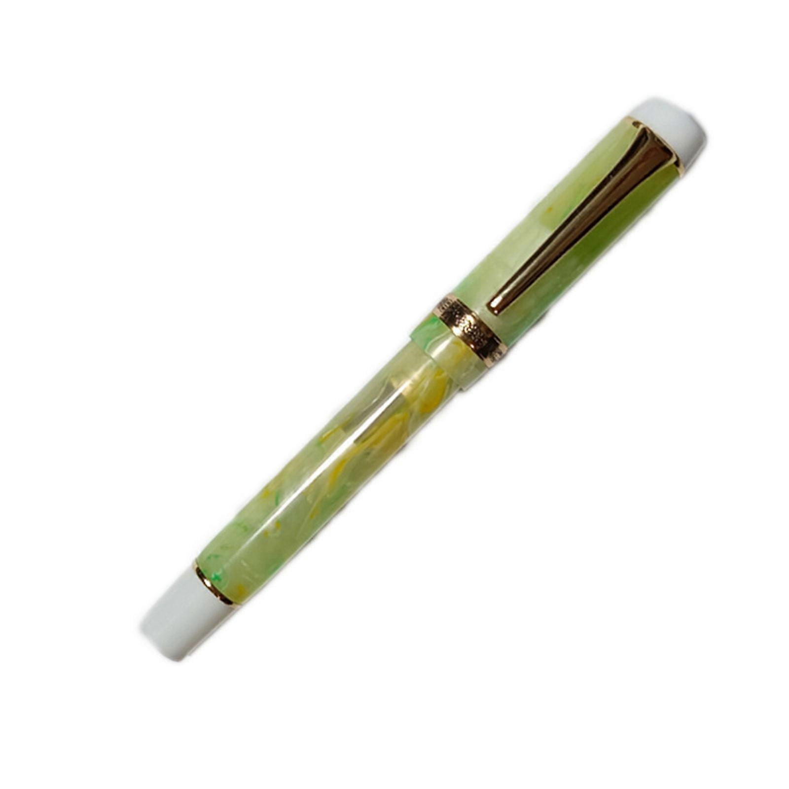Fountain Pens, Long Blade Medium Nib Inking Pens Smooth Writing Pens with Converter for Sketching, Calligraphy Ink Pens