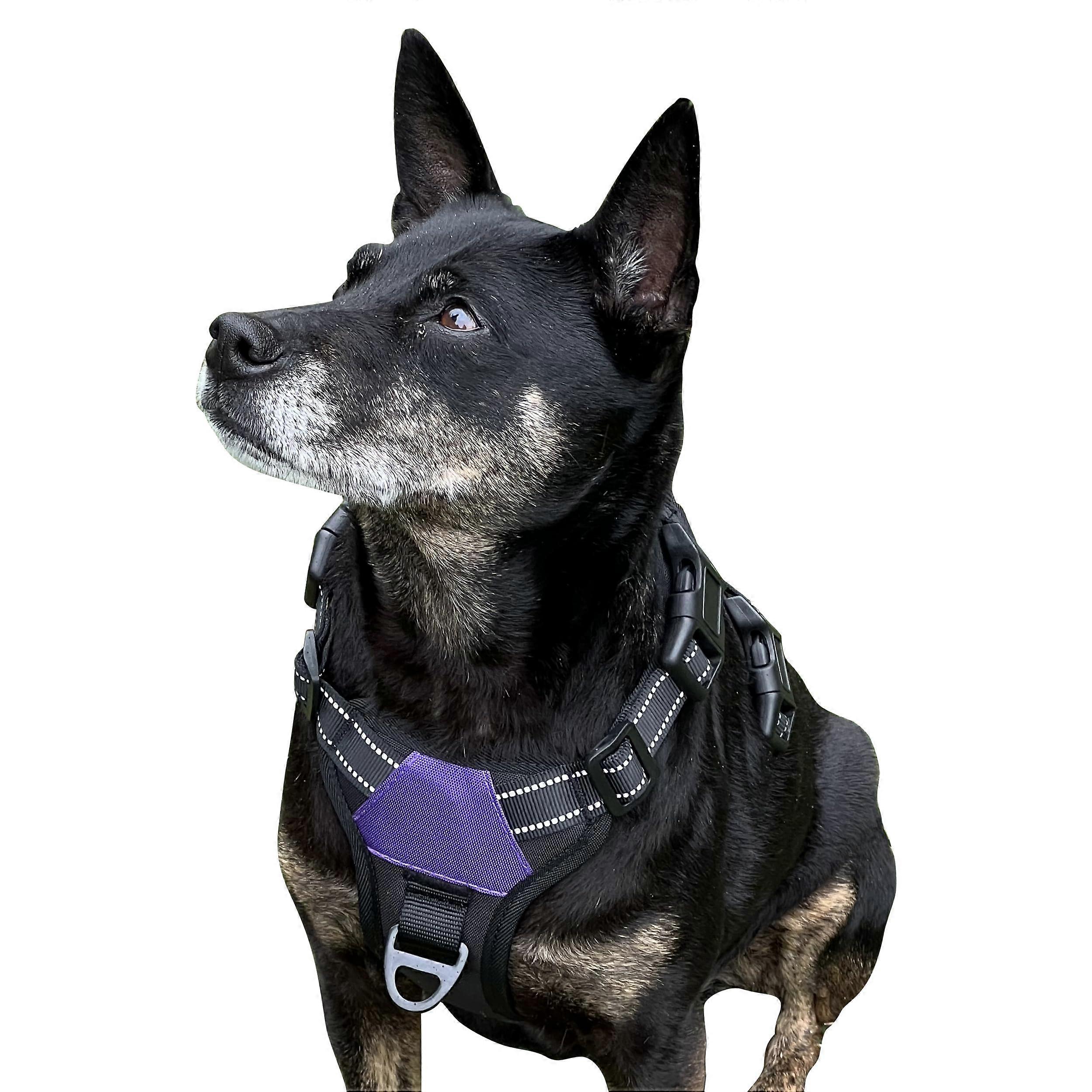 Dog Harness - Comfortable Purple Small Adjustable Harness for Reducing Pulling and Escape Resistance