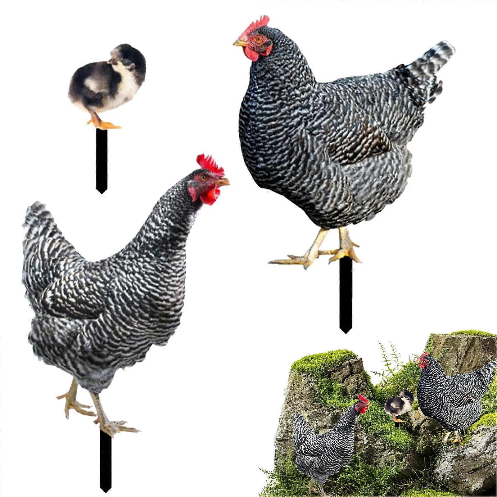 Metal Chicken Stakes Set, 24 x 6.8 cm, for Garden Decor, Includes 3 Iron Chicken Chick Spices for Lawn and Easter Landscaping