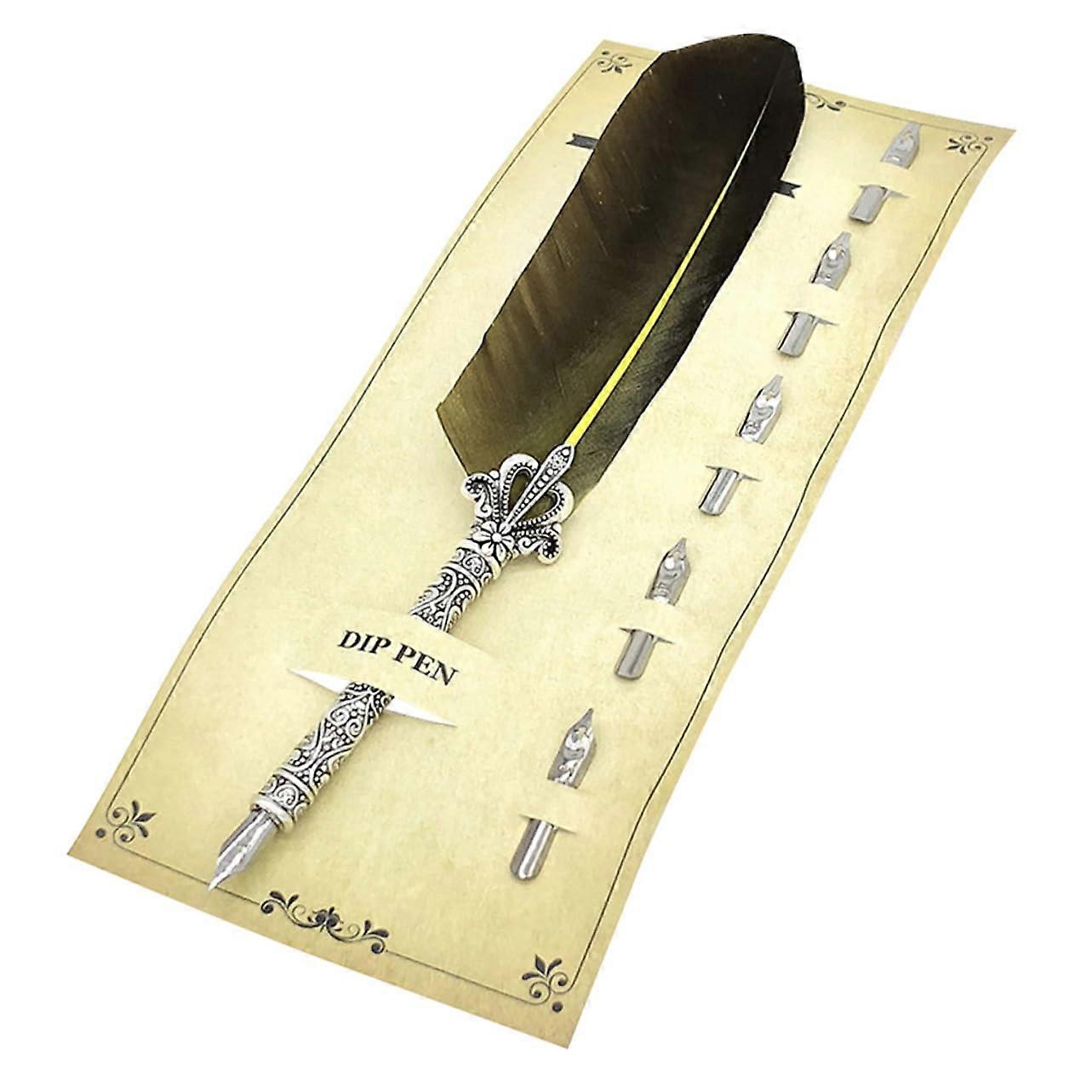 1 Set Fountain and Dip Pen with Interchangeable Nibs for Calligraphy, Business Gifts