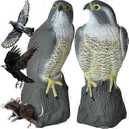 Fgelskrmmare - falk 23421