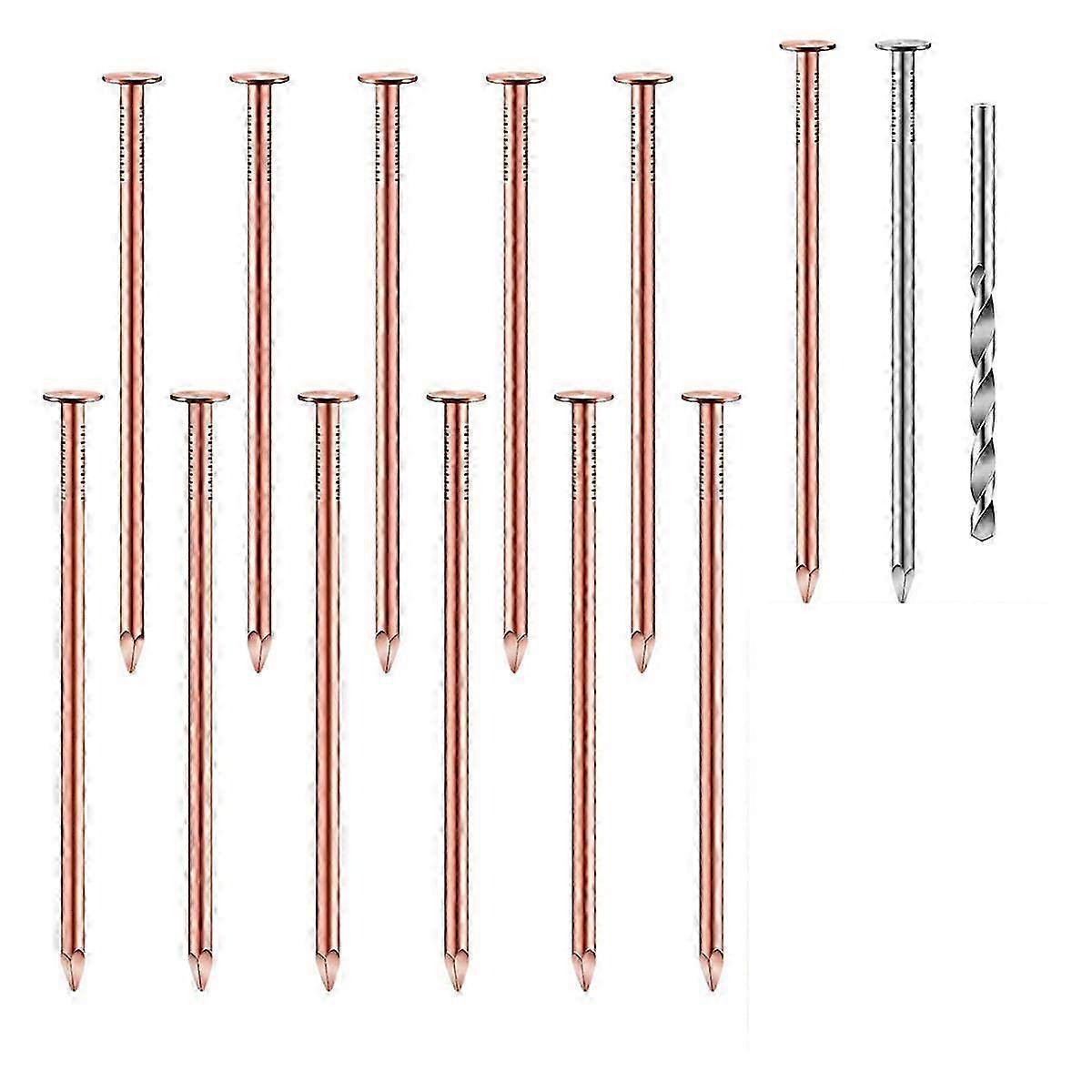 Copper Nails Kit to Killing Trees,3.5 Inch Pure Copper Nails Bulk