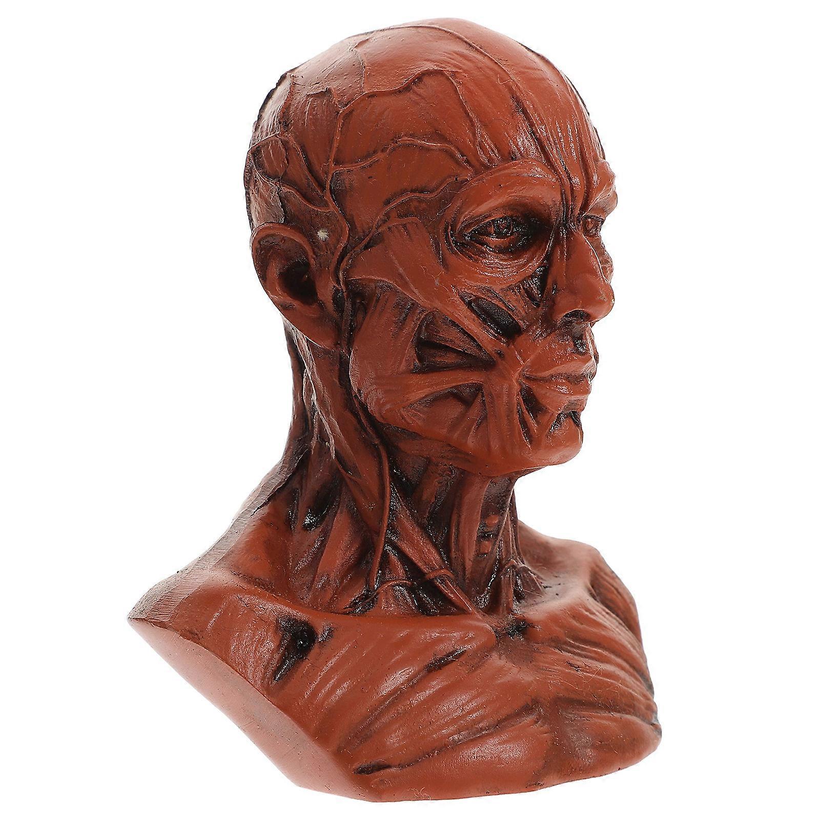 Resin Sketch Figurine Anatomy Skull Head Model for Painting 3Pcs