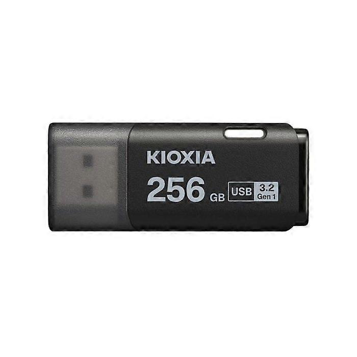 Kioxia TransMemory U301 USB Stick 3.2 256GB Schwarz