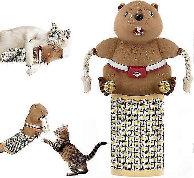 Cat Wrestling Glove, Cats Puppet Wrestler with Tough Padding for Safe Interactive Play, Cat Wrestling Toy Puppet with Cats Teaser and Bell for Boredom