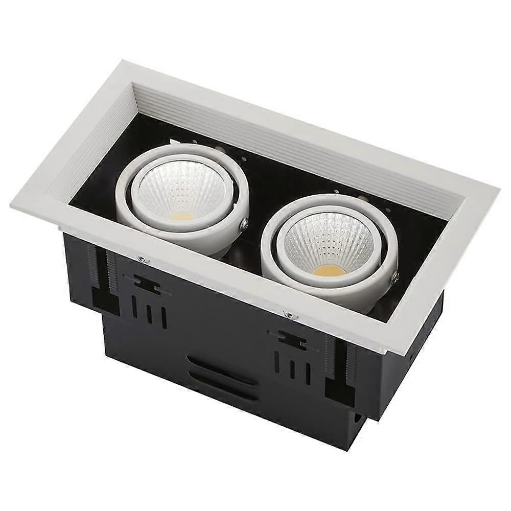 Adjustable Recessed Lighting 2Head Rectangle Gimbal Downlights, 7W30W, 3000K5000K, Black Finish