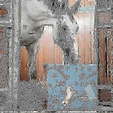 2024 Horse-Themed Advent Calendar - Festive Countdown to Christmas with Surprise Gifts for Both Kids and Adults miao4