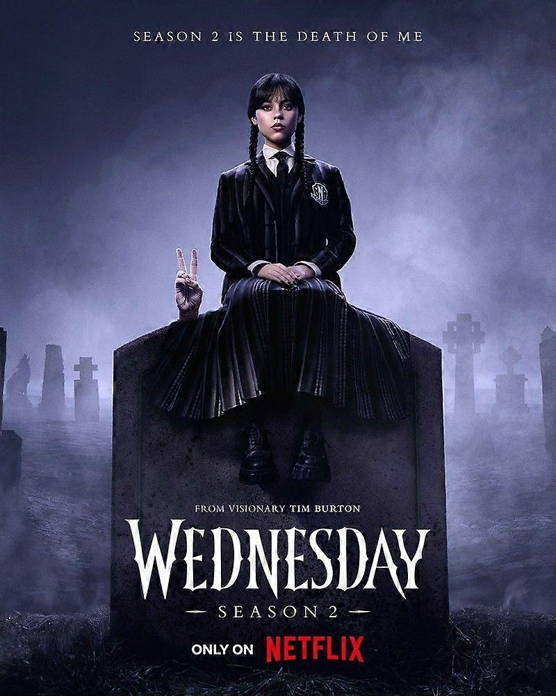 Wednesday Addams Jigsaw Puzzle Brain Teaser EB 1235