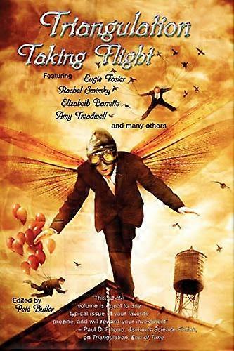Triangulering: Ta fly
