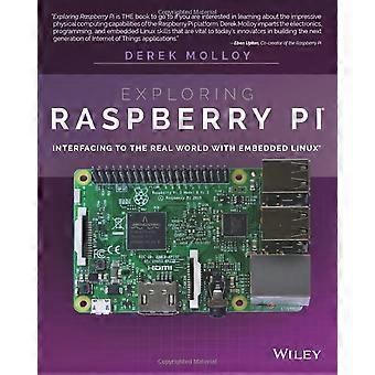 Utforska Raspberry Pi: Gränssnitt till den verkliga världen med Embedded Linux