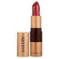 Java Brown Lipstick 1 unit