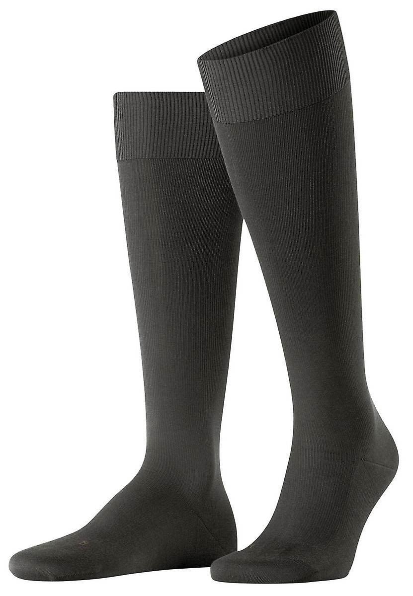Falke Energizing Cotton Knee High Socks - Brown