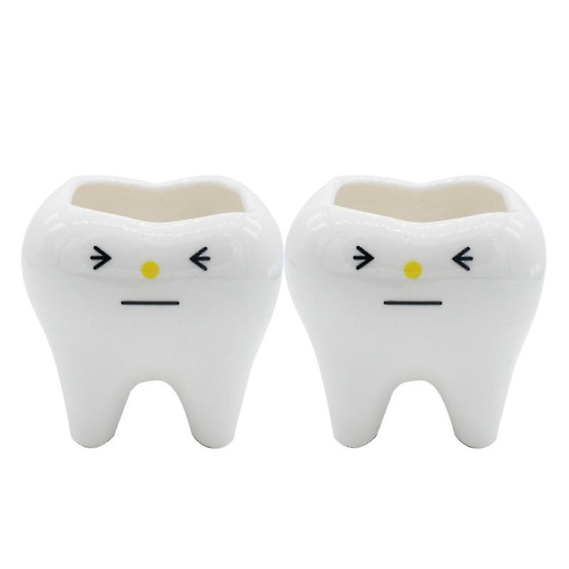 2pcs Tooth Flower Pot