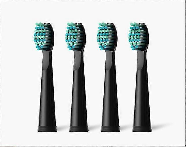 Replacement Toothbrush Heads