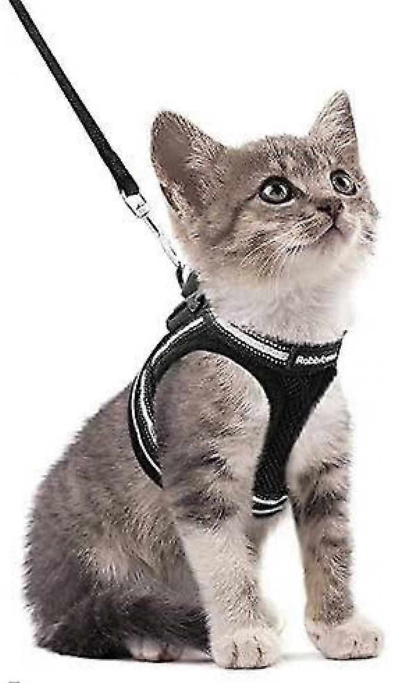 Cat Harness Kitten Harness With Cat Lead, Soft & Adjustable Comcompatiblet