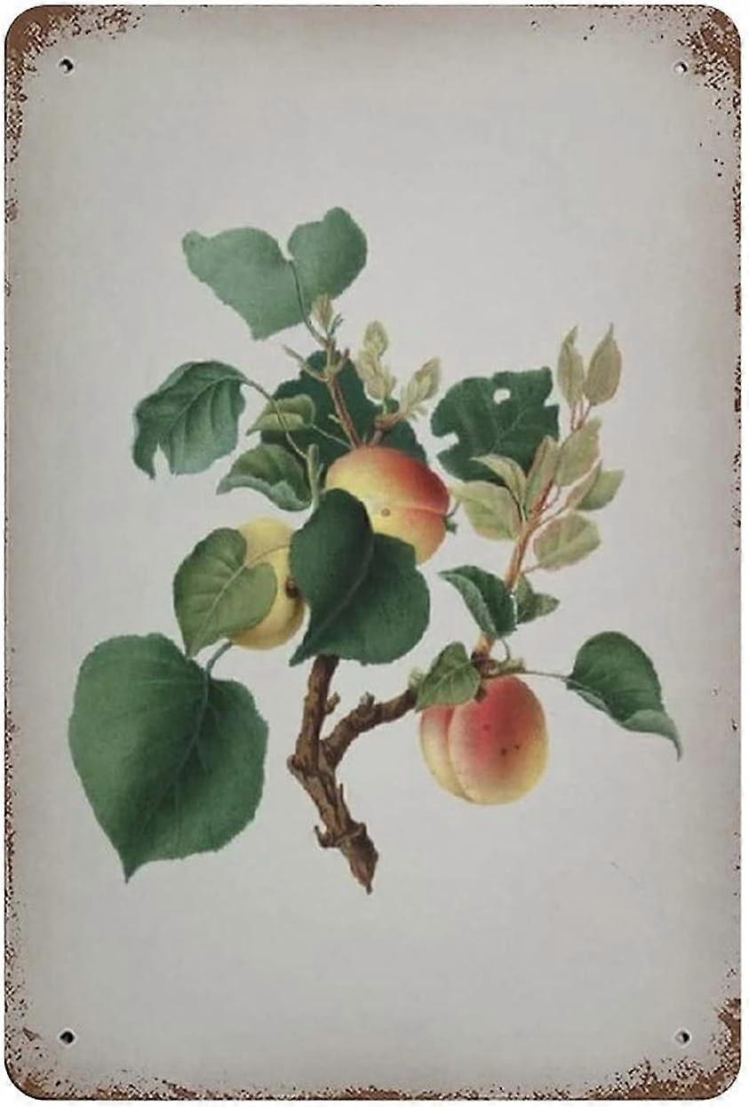 LINCMAN Metal Tin Sign Big Flowered Dog Rose Vintage Art Poster Retro Iron Painting Wall Decor Art G