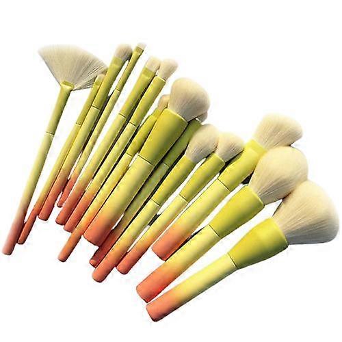 Pro Gradient Color 14pcs Set Cosmetic Brush Kit