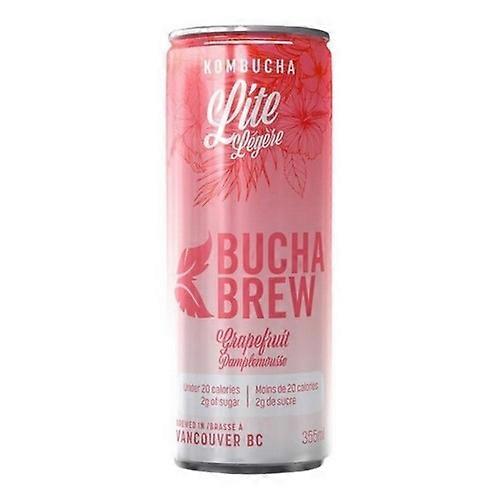 Bambucha Kombucha Bio Fun Sprudelwasser mit Kombucha Lite Grapefruit, 355 ml (Karton mit 12 Stück)