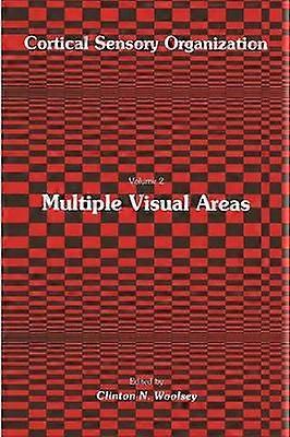 Multiple Visual Areas