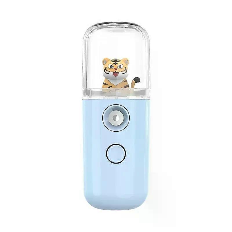 Misuratore di idratazione della pelle da donna Mini umidificatore 30ML Home Nano Spray Piccolo piroscafo Dispositivo di bellezza del viso Strumenti per la cura della pelle nanomister