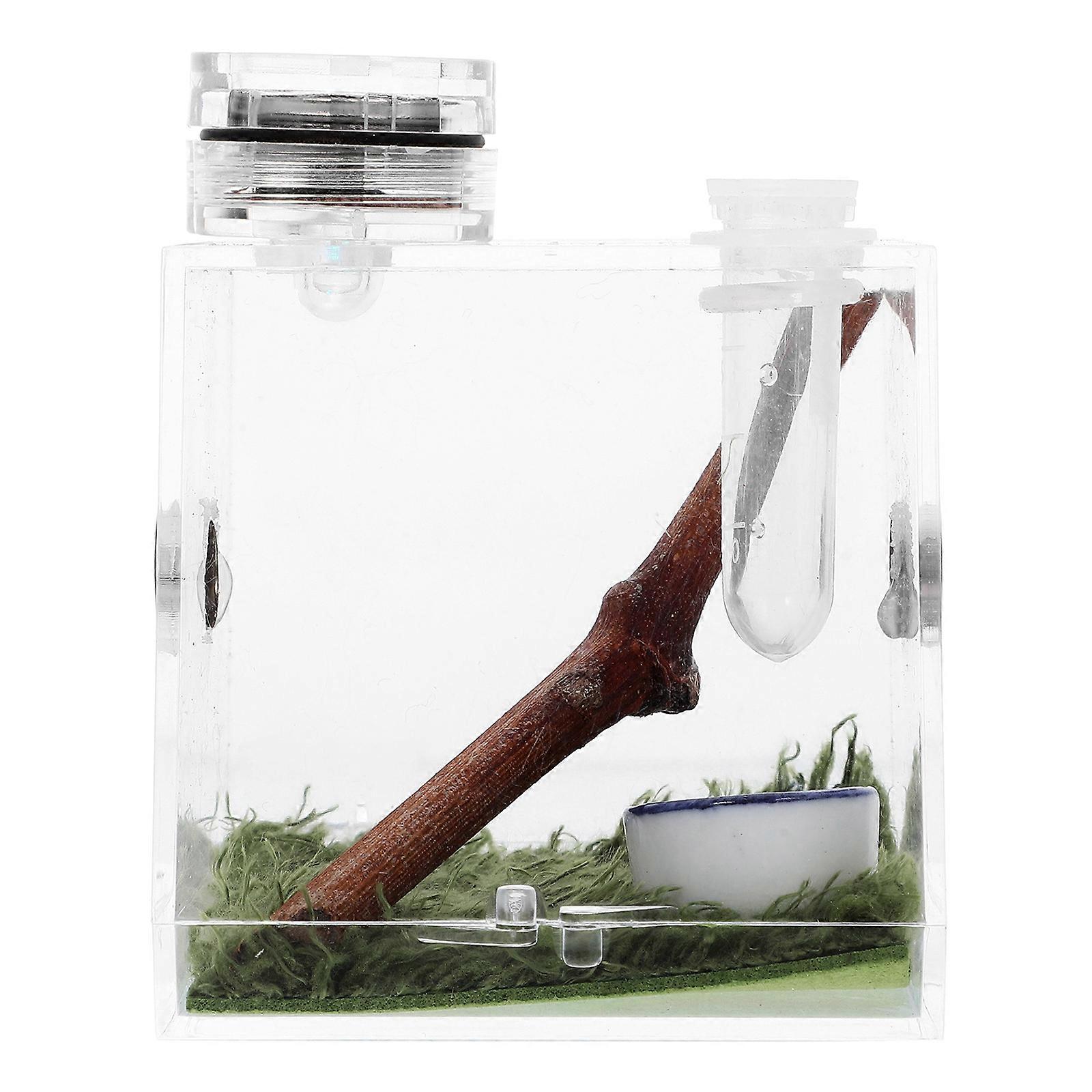 High Transparency Spider Habitat Box for Jumping Spiders with Lamp Storage Case