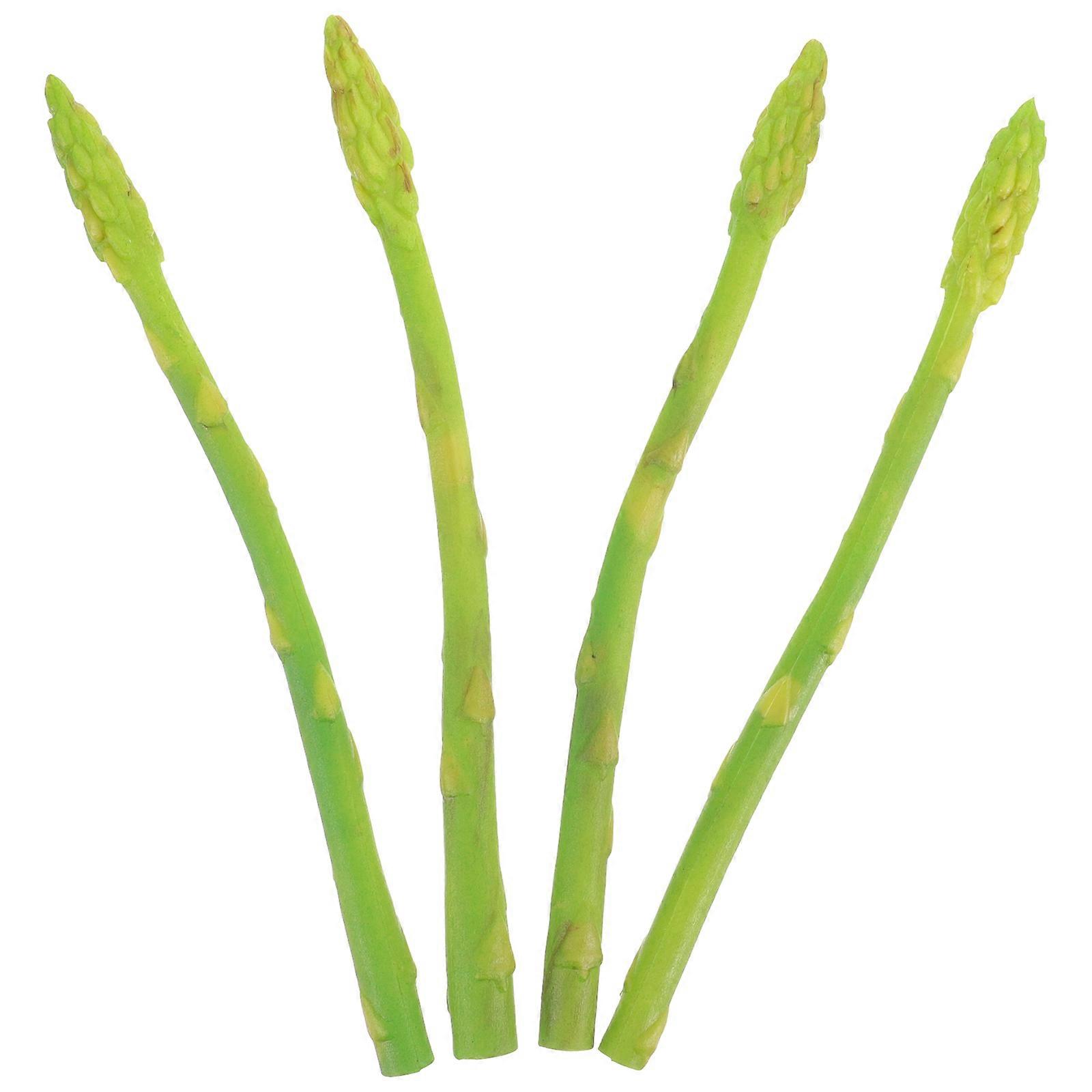 Lifelike Crafts for Decoration with Realistic Simulation Effect 4 Pieces PVC Green Food Props