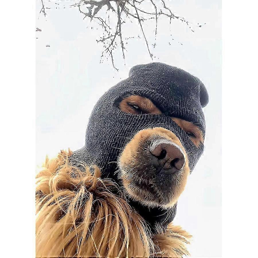 Dog Role-Playing Costume for Large Dogs Polyester Solid Color Pet Accessories