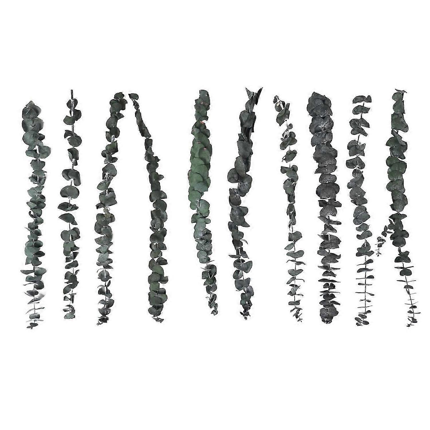 10Pack Natural Dried Eucalyptus Bundle,Preserved Fresh Eucalyptus