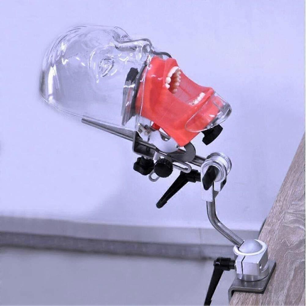 Dental Phantom Head with Adjustable Angle Bracket for Realistic Dentist Training and Simulation