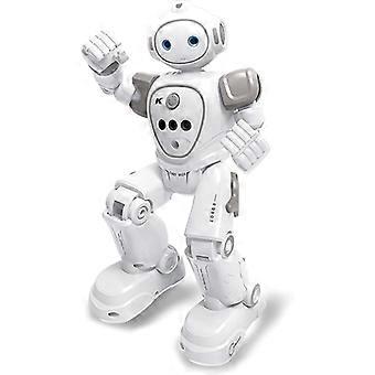 RC Robot Toy, Remote Control Robot Gesture Sensing Walking Dancing Programmable Smart Robot for Kids Age 3 4 5 6 7 8 12 Year Old Girls Xmas Gifts Pres