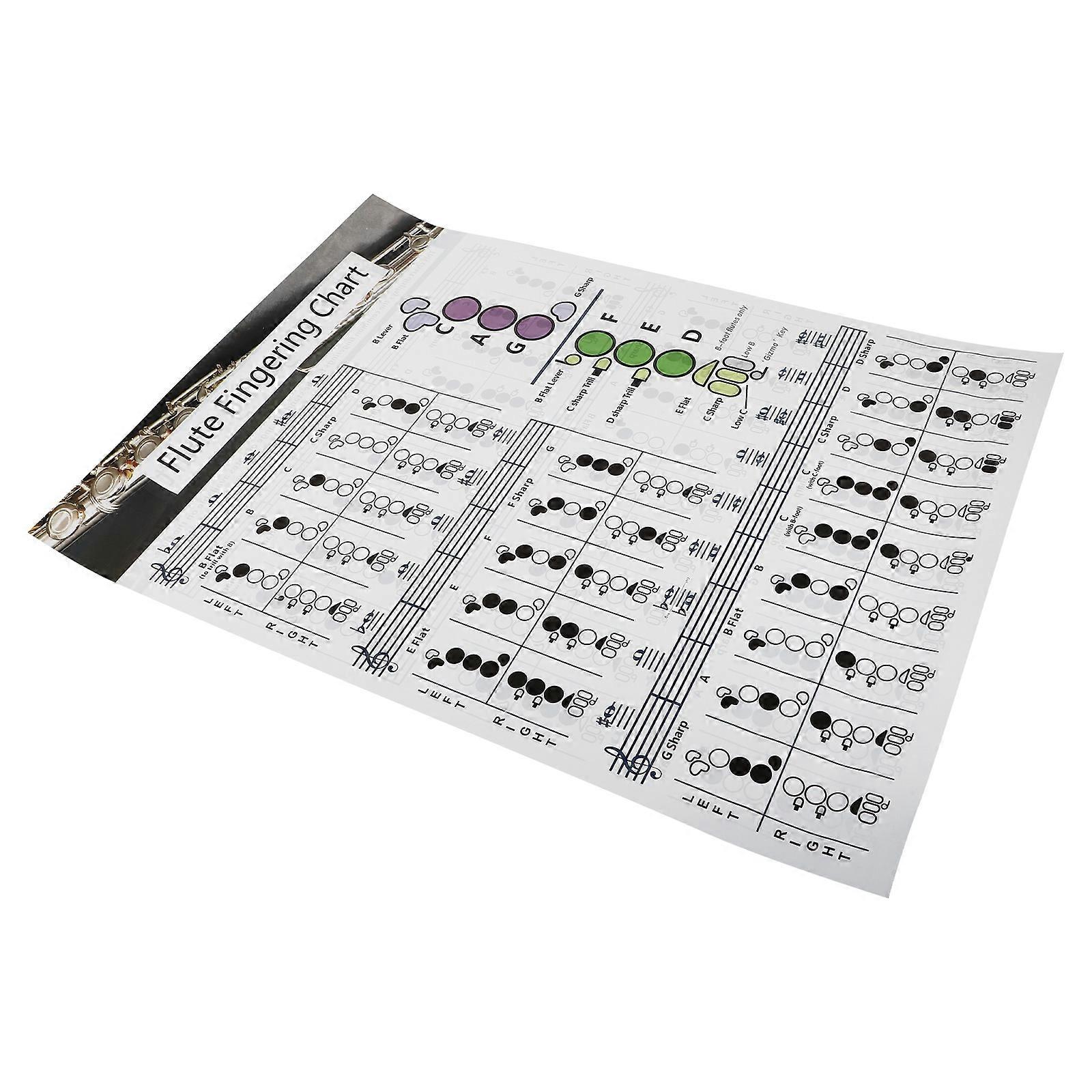 Practical Flute Finger Guide Chart Useful Flute Chord Chart for Flute Beginners
