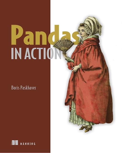 Pandas in Action von Boris Paskhover (Taschenbuch)