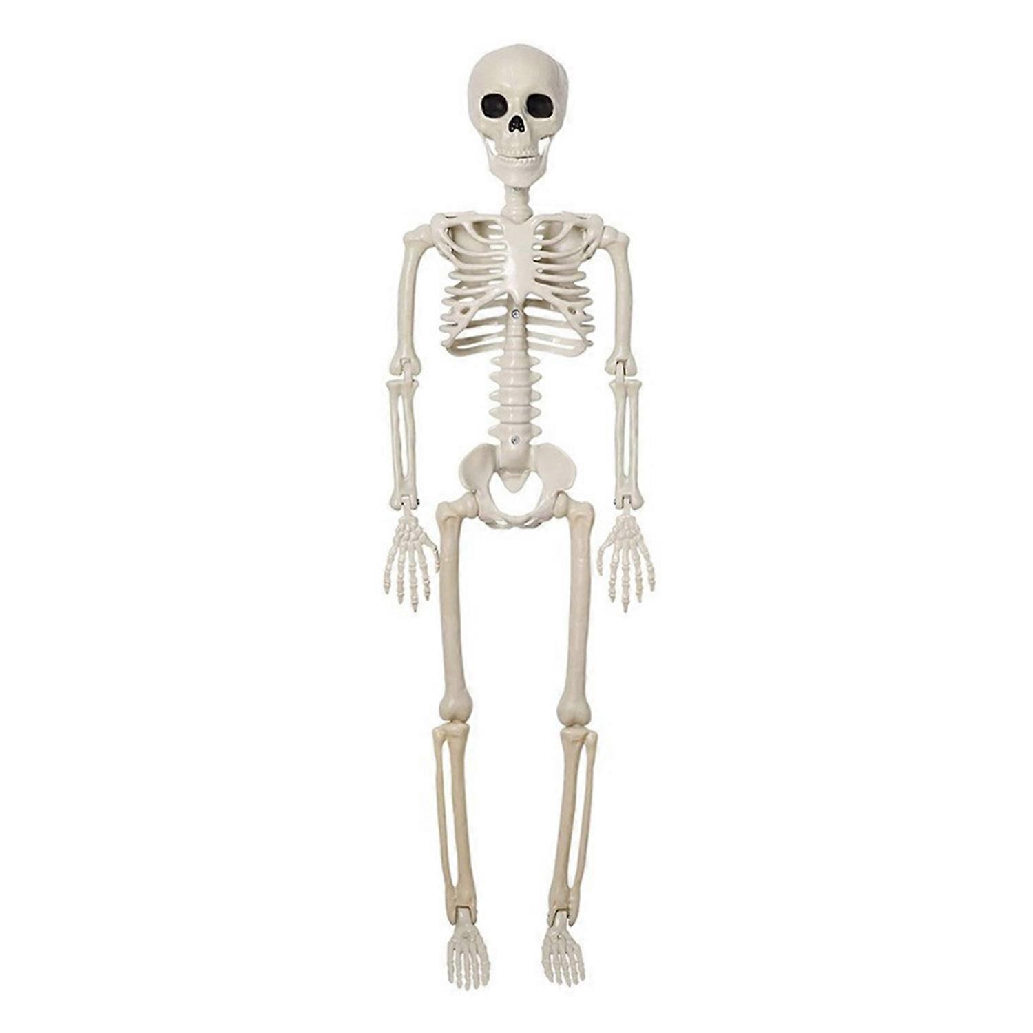 Realistic Movable Joints Skeleton Adjustable Halloween Plastic Skeleton for Graveyard Decor Easy