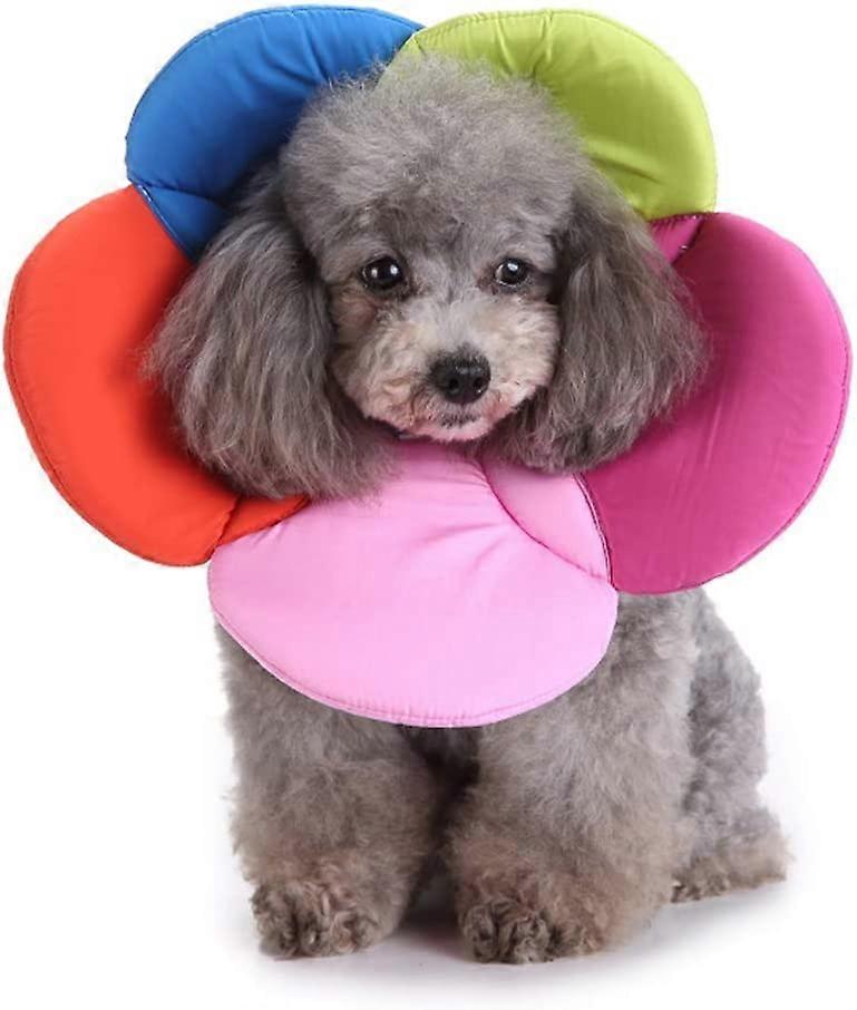 Adjustable Pet Protective Collar,Soft Edge Circle,Size S