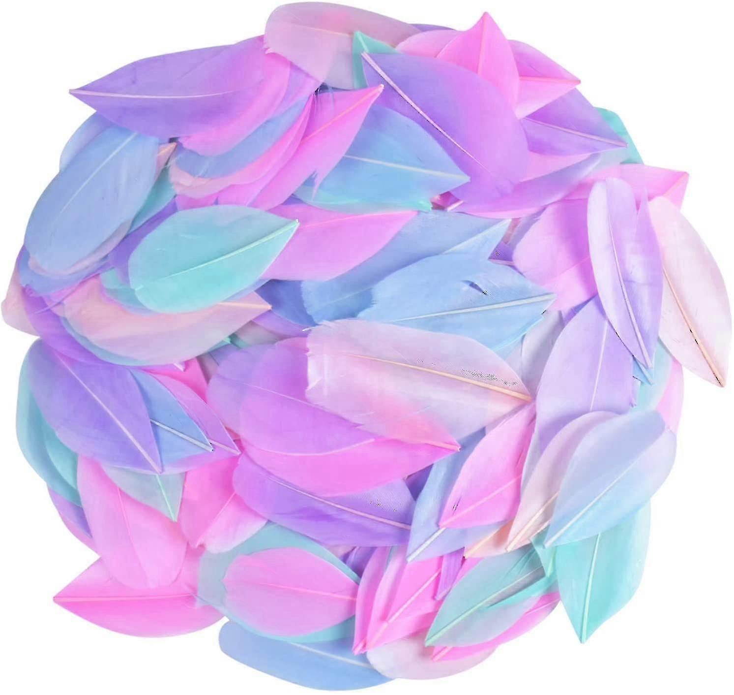 300 件手工艺羽毛，彩色羽毛，天然鹅羽毛，羽毛