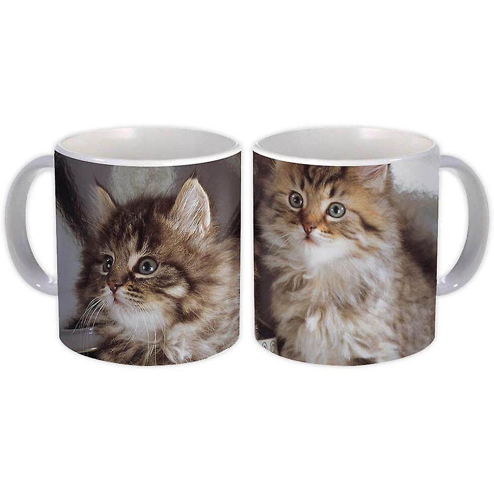 Gift Mug: Cat Animal