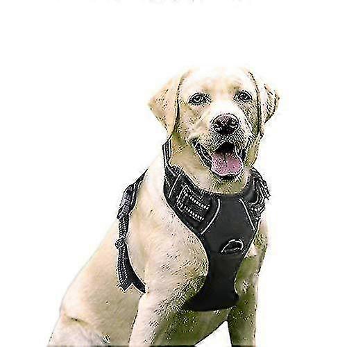 Rabbitgoo Köpek Tasması, 2 Tasma Klipsli Çekmeyen Evcil Hayvan Tasması, Ayarlanabilir Yumuşak Dolgulu Köpek Yeleği