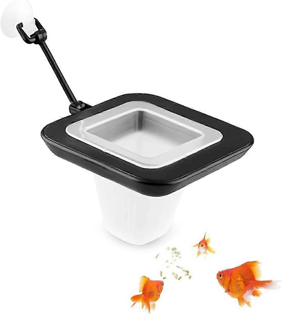 Aquarium Fish Feeding Ring Floating Circle With Suction Cup Easy Install Round Square And Round Shape Bloodworm Mealworm For Guppy Goldfish