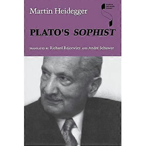 Platos Sophist (Studies in Continental Thought)